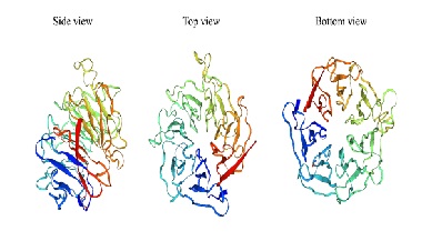 The role of WDR76 protein in human diseases