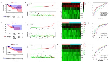 Development and validation of a ferroptosis-related lncRNAs prognosis signature in colon cancer
