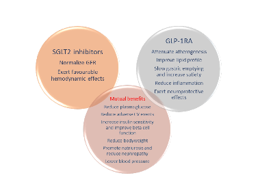 Pharmacogenetics of new classes of antidiabetic drugs