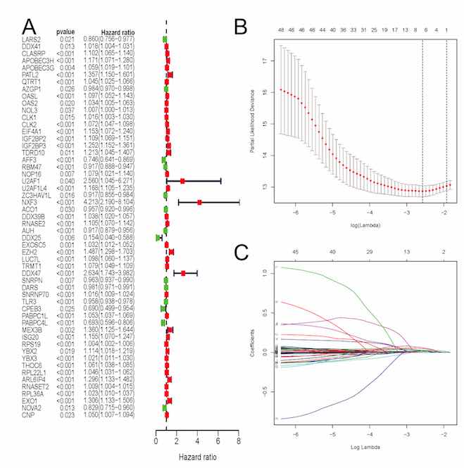 Six RNA binding proteins (RBPs) related prognostic model predicts overall survival for clear cell renal cell carcinoma and it is associated with immune infiltration