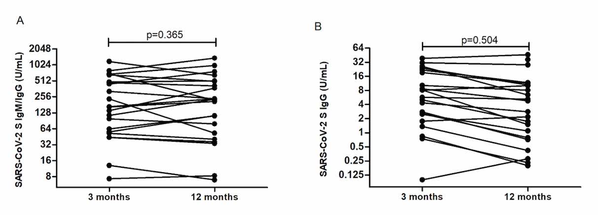 Sustained seroprevalence of SARS-CoV-2 antibodies one year after infection: one of the first COVID-19 cluster cases in Bosnia and Herzegovina