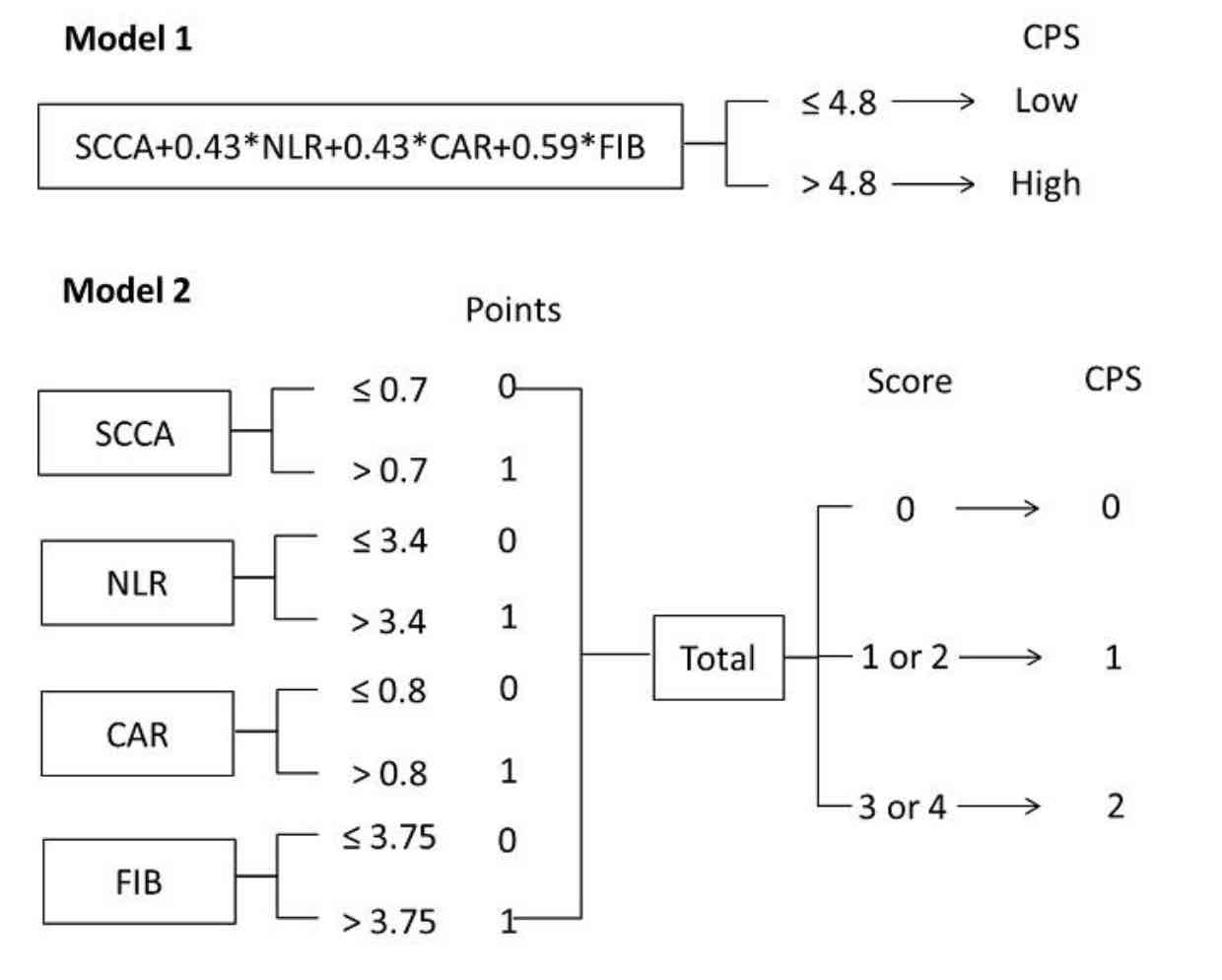 compass Warning pick Development and validation of a novel pre-operative comprehensive  prognostic score in esophageal squamous cell carcinoma | Bosnian Journal of  Basic Medical Sciences