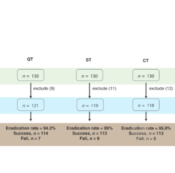 Comparison of three different regimens against Helicobacter pylori as a first-line treatment: A randomized clinical trial