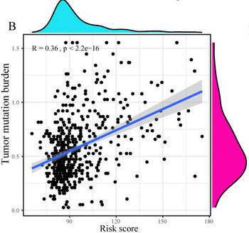 Identification and Verification of the Ferroptosis- and Pyroptosis-Associated Prognostic Signature for low-grade Glioma