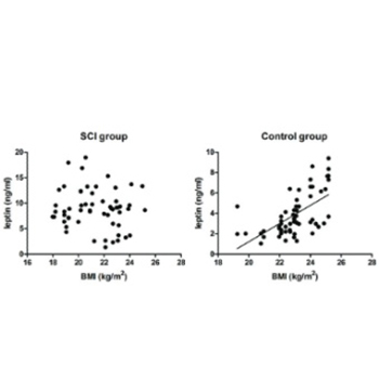 Serum leptin, bone mineral density and the healing of long bone fractures in men with spinal cord injury