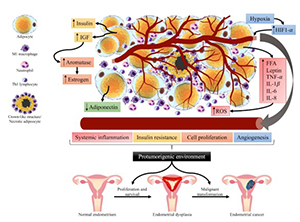 Impact of metabolic syndrome on the risk of endometrial cancer and the role of lifestyle in prevention