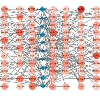 Exploring autophagy related prognostic genes of Alzheimer's disease based on pathway crosstalk analysis