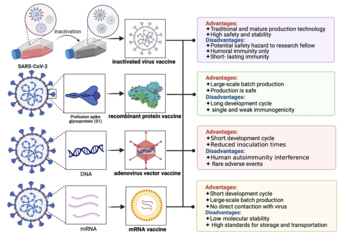 Strategies and safety considerations of booster vaccination in COVID-19