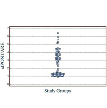 Higher serum lipids and oxidative stress in patients with normal tension glaucoma, but not pseudoexfoliative glaucoma