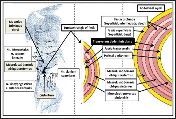 Efficacy of laparoscopic transversus abdominis plane block for elective laparoscopic cholecystectomy in elderly patients