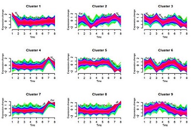 Dynamic network biomarker C1QTNF1 regulates tumor formation at the tipping point of hepatocellular carcinoma