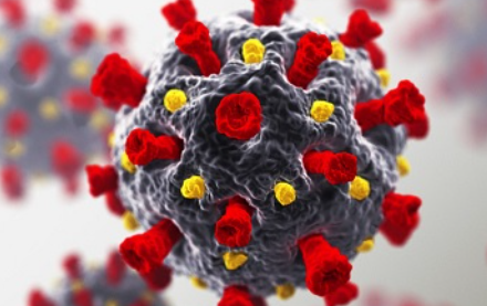 SARS-CoV-2 viral load in feces does not have a prognostic benefit in outcome of COVID-19: Clinical and immunological study