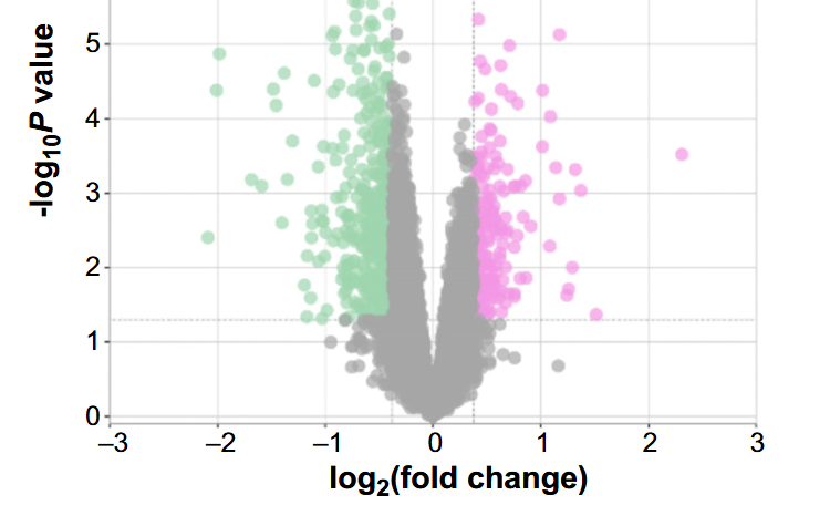PARP9 affects myocardial function through TGF-β/Smad axis and pirfenidone