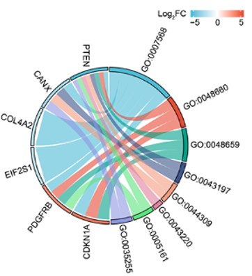 Regulation of transforming growth factor β2-induced epithelial-mesenchymal transition and autophagy in lens epithelial cells by the miR-492/NPM1 axis