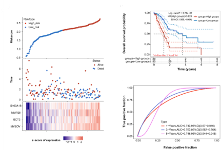 SPDEF drives pancreatic adenocarcinoma progression via transcriptional upregulation of S100A16 and activation of the PI3K/AKT signaling pathway