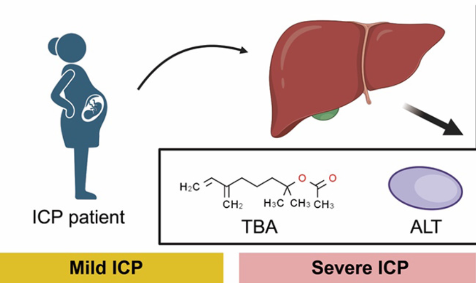 The severity of intrahepatic cholestasis of pregnancy and its association with pregnancy complications and neonatal asphyxia: A single-center case analysis and systematic review