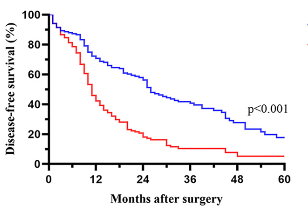 Prognostic evaluation in gallbladder carcinoma: Introducing a composite risk model integrating nutritional and immune markers