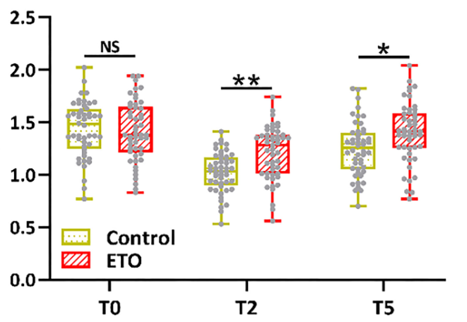 Effects of spinal-epidural anesthesia combined with intravenous etomidate on adrenocortical and immune stress in elderly patients undergoing anorectal surgery: A retrospective analysis