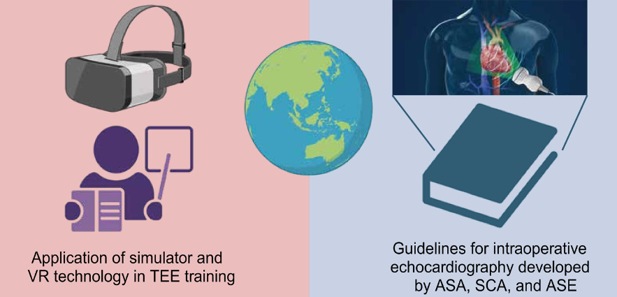 Transesophageal echocardiography: Revolutionizing perioperative cardiac care