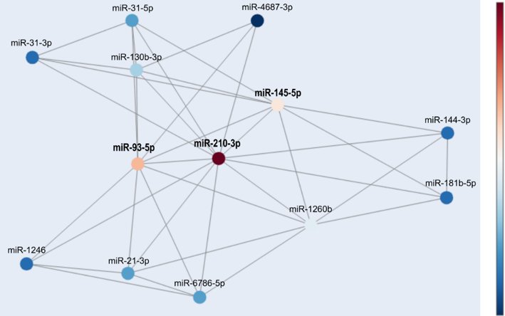 Co-expression of miRNA players in advanced laryngeal carcinoma – Insights into the roles of miR-93-5p, miR-145-5p, and miR-210-3p