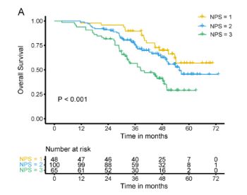 Prognostic value of Naples prognostic score in locally advanced cervical cancer patients undergoing concurrent chemoradiotherapy