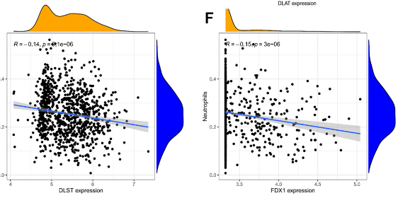 Screening and validating genes associated with cuproptosis in systemic lupus erythematosus using expression profiling combined with machine learning