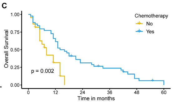 Epidemiology, prognostic factors, and survival analysis in small cell esophageal carcinoma: A population-based study with external validation