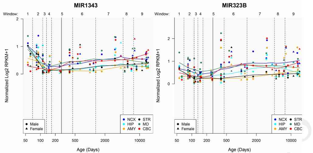 Gene polymorphisms of miR-323b and miR-1343 that regulate kininogen L are associated with schizophrenia susceptibility: A preliminary population‑based study
