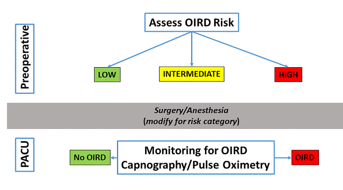 Research and clinical implications of emerging evidence regarding patterns of postoperative opioid-induced respiratory depression