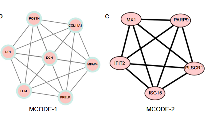 Identification of potential hub genes associated with recurrent miscarriage through combined transcriptomic and proteomic analysis