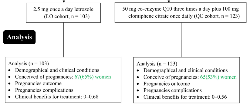 Letrozole versus coenzyme Q10 plus Clomiphene citrate for women with Polycystic Ovarian Syndrome: An efficacy and safety analysis