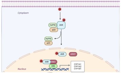 Exploring the link between environmental chemical exposures and epigenetic modifications in diabetes mellitus