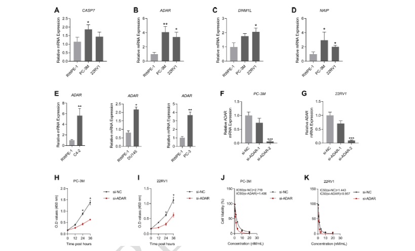 Integrative PANoptosis gene profiling reveals prognostic and therapeutic insights in prostate cancer