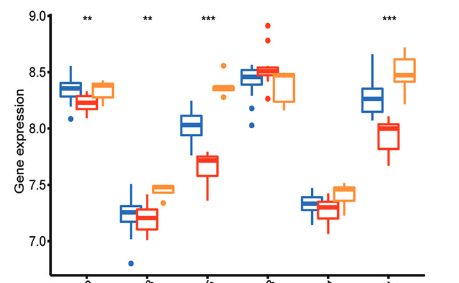 Identification and validation of TUBB, CLTA, and FBXL5 as potential diagnostic markers of postmenopausal osteoporosis