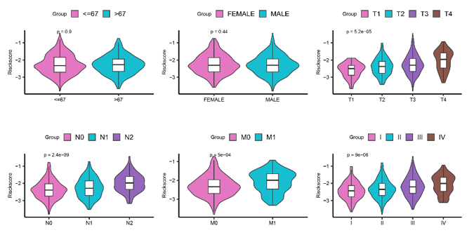 Role of telomere maintenance genes as a predictive biomarker for colorectal cancer immunotherapy response and prognosis