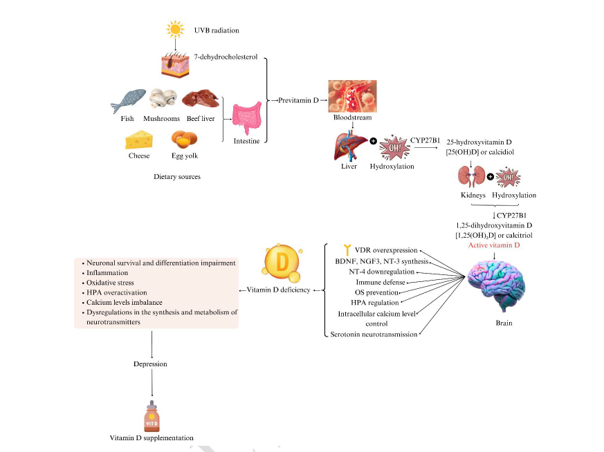 Vitamin D and depression in adults: A systematic review