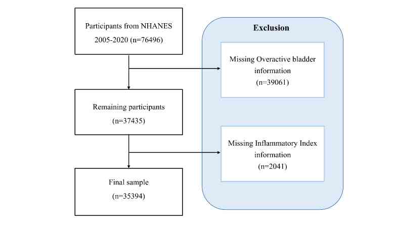 Predicting overactive bladder from inflammatory markers: A machine learning approach using NHANES 2005–2020