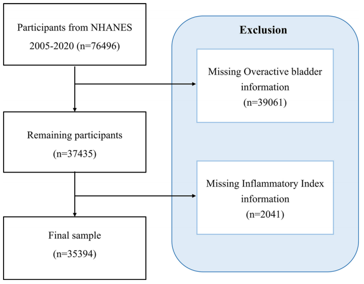 Predicting overactive bladder from inflammatory markers: A machine learning approach using NHANES 2005–2020