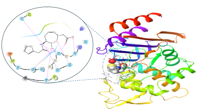 Thymoquinone and 3HQ synergy inhibits CTX-M-15 ESBL
