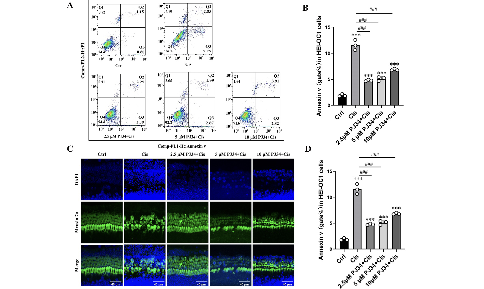 PJ34 prevents cisplatin-induced hair cell loss via inhibition of PARP-1–AIF parthanatos
