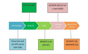 The immunotherapy breakthroughs in cervical cancer: Focus on potential biomarkers and further therapy advances