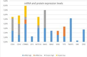 In silico analysis reveals distinct changes in markers of epithelial to mesenchymal transition in glioma subtypes