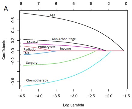 Gastrointestinal diffuse large B-cell lymphoma: Clinical characteristics and prognostic analysis from SEER database