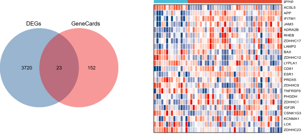 S-palmitoylation-related genes in Crohn's disease: Bioinformatic identification and validation