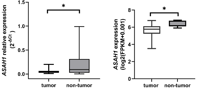Acid ceramidase expression and biomarker potential in patients with locally advanced rectal cancer