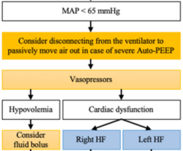 STOP algorithm for bedside mechanical ventilation: Standardized, evidence-based management of critically ill patients