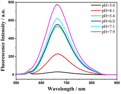 Hypochlorite sensing and real-time imaging with XY-01: A red-emitting fluorescent turn-on probe for living cells and colorectal cancer organoids