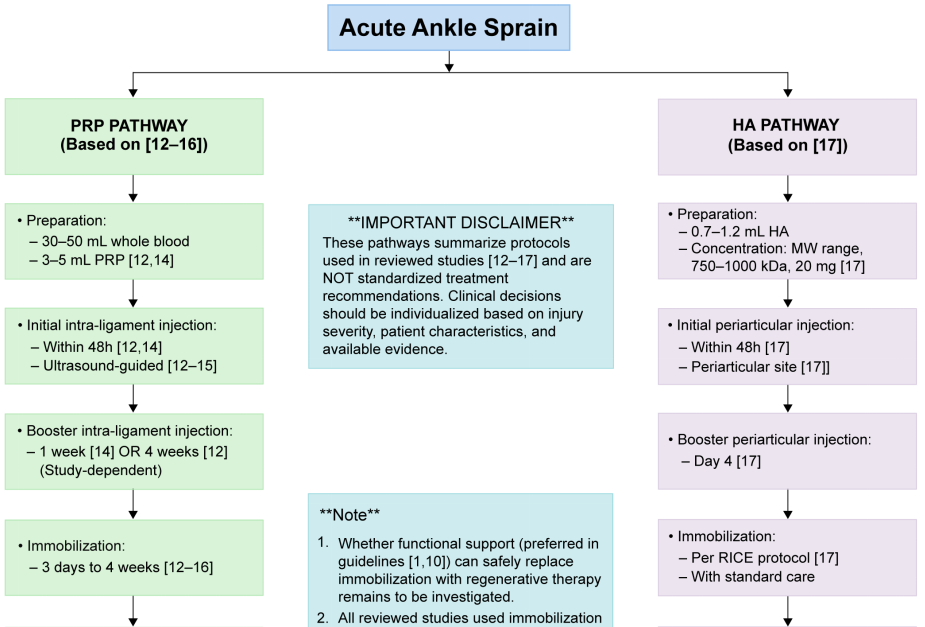 Platelet-rich plasma and hyaluronic acid in the treatment of acute ankle sprains: A review