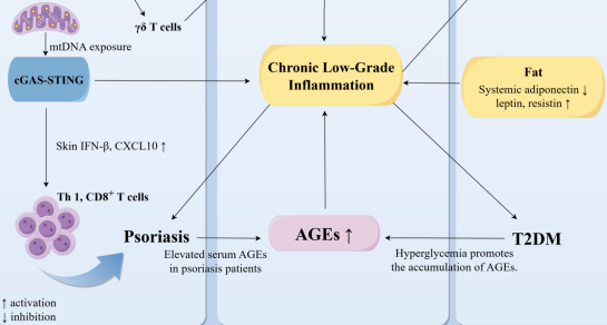Mechanistic insights into psoriasis and type 2 diabetes mellitus comorbidity – Implications for treatment: A review