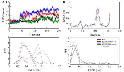 Synergistic effect of the rifaximin–berberine combination against Klebsiella pneumoniae: RfaH targeting supported by MD simulation